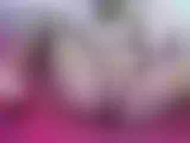 Live sex webcam photo for petite-tasha #291985608