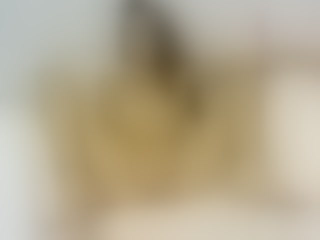 Live sex webcam photo for petiteamor #290181336