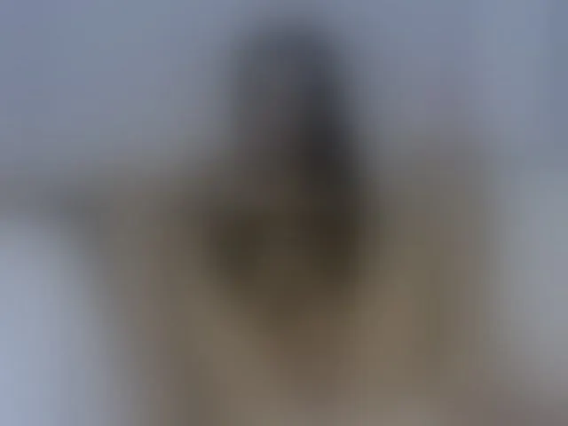 Live sex webcam photo for petiteamor #290188141