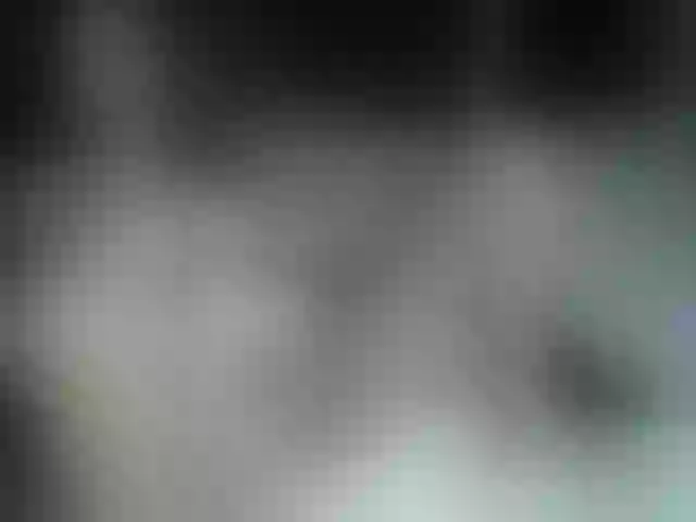 Live sex webcam photo for petiteamor #290397112