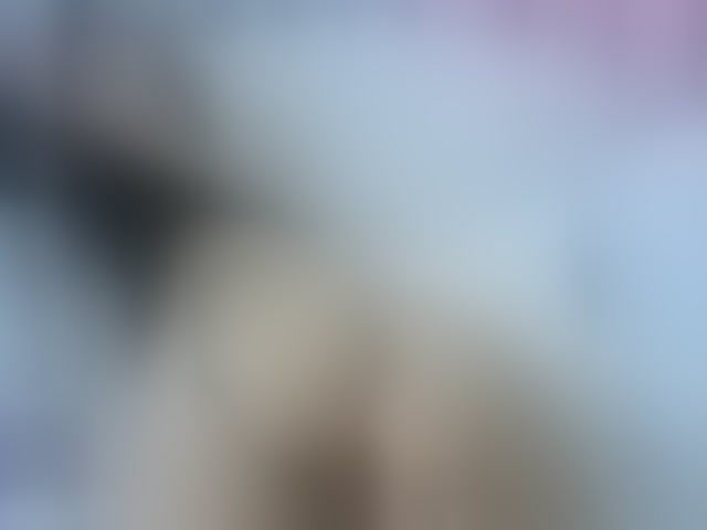 Live sex webcam photo for petiteamor #291087794