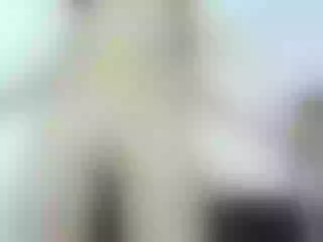 Live sex webcam photo for petiteamor #291368376