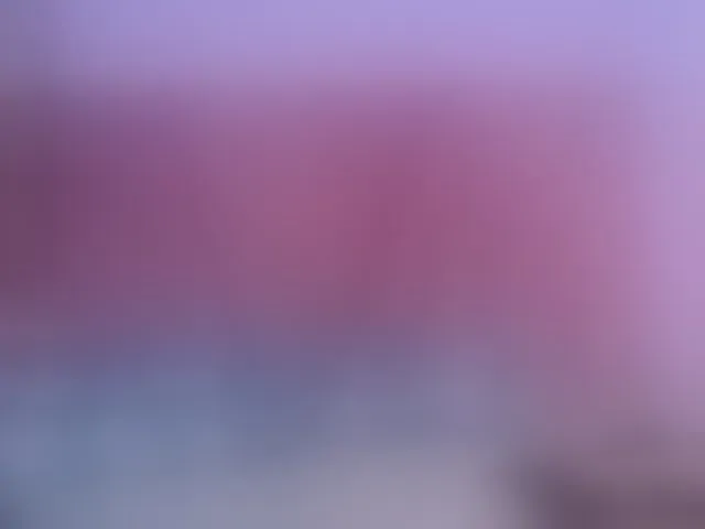 Live sex webcam photo for petitelittleebony #293513581