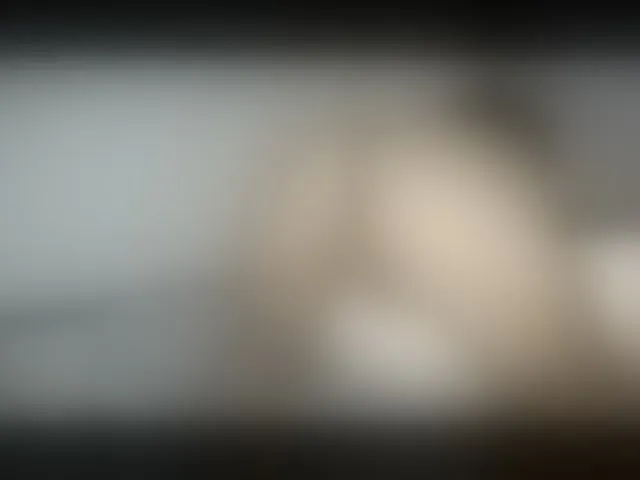 Live sex webcam photo for petittegoddess254 #293922742