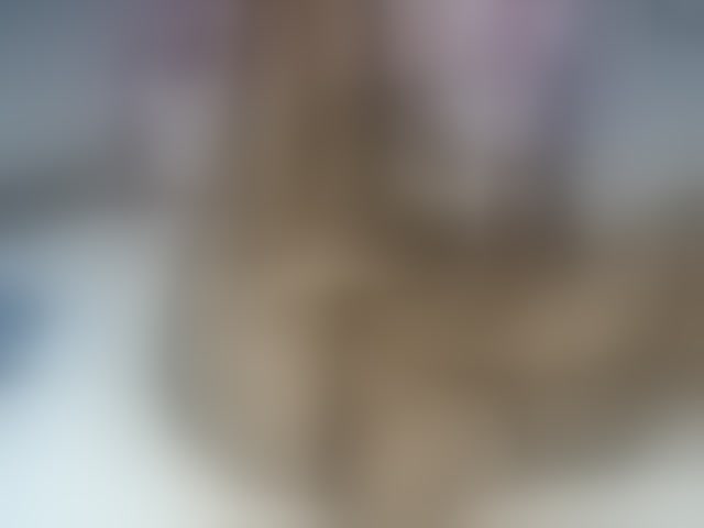 Live sex webcam photo for petittegoddess254 #294202502