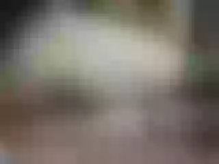 Live sex webcam photo for pevicha #209174272