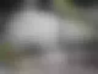 Live sex webcam photo for pevicha #209187334