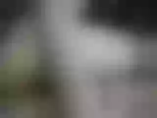 Live sex webcam photo for pevicha #211117089