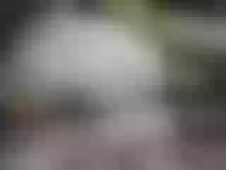 Live sex webcam photo for pevicha #211184914