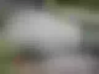 Live sex webcam photo for pevicha #211626856