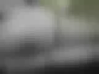 Live sex webcam photo for pevicha #212447699