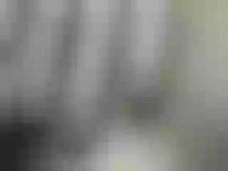 Live sex webcam photo for pevicha #222177925