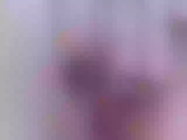 Live sex webcam photo for pevicha #271959605