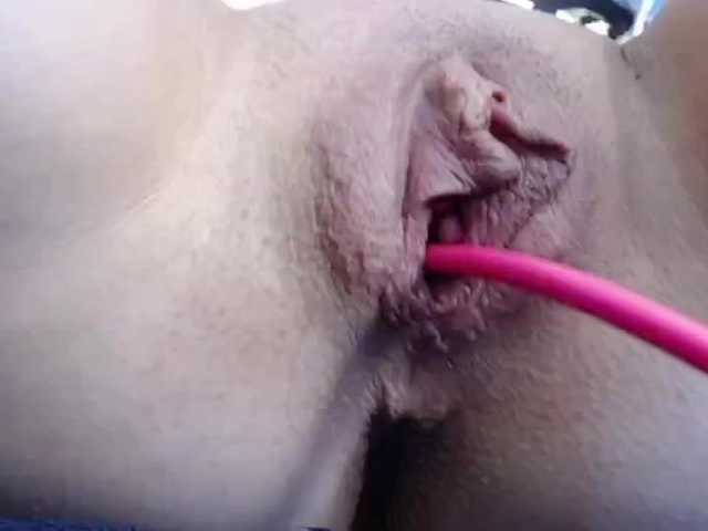 Live sex webcam photo for pevicha #273474588