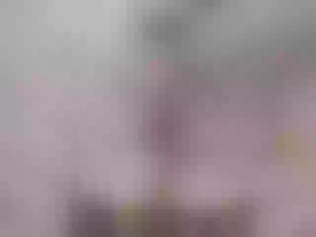 Live sex webcam photo for pevicha #278309819