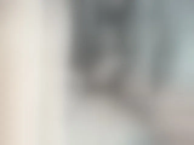 Live sex webcam photo for pevicha #292840896