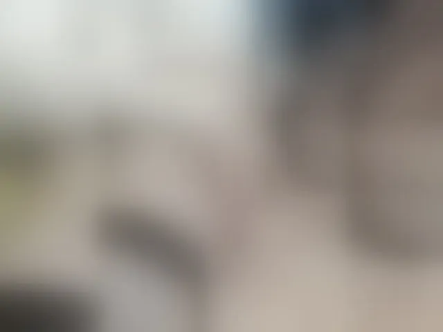 Live sex webcam photo for pevicha #293145688