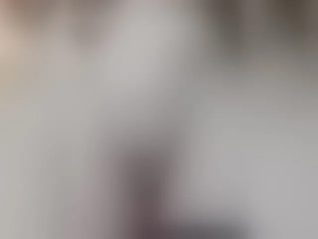 Live sex webcam photo for pevicha #293206348