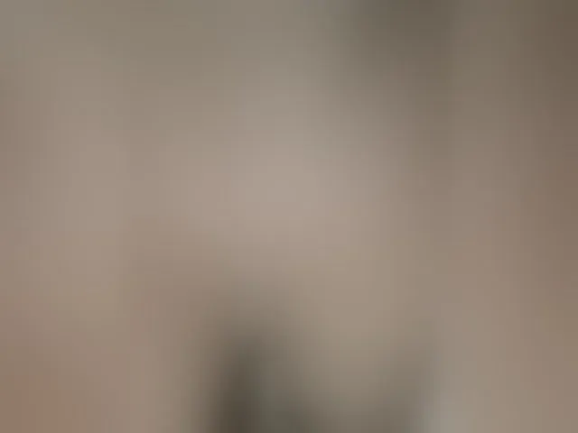 Live sex webcam photo for pevicha #293211769