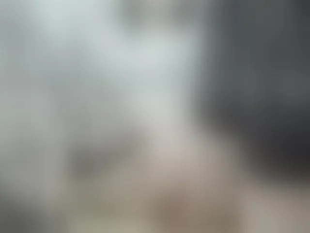Live sex webcam photo for pevicha #293396123