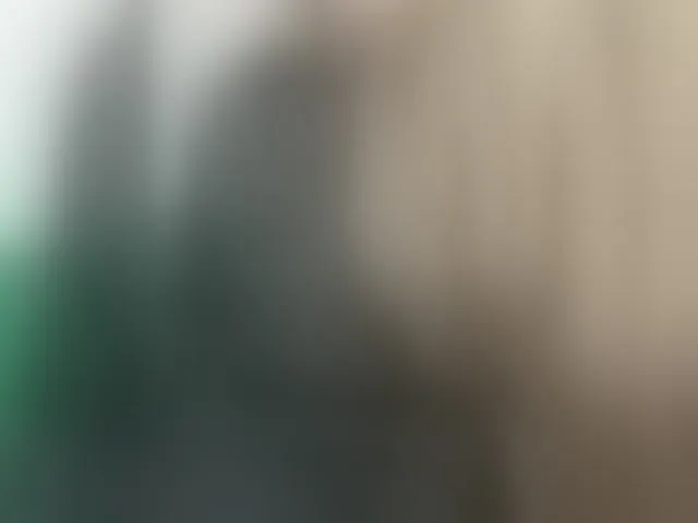 Live sex webcam photo for pevicha #293594930