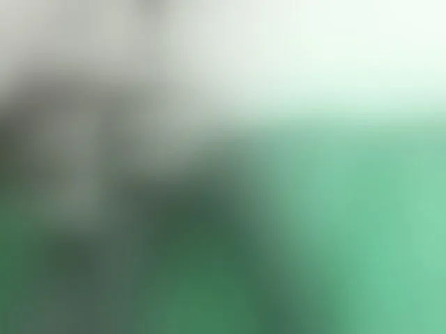 Live sex webcam photo for pevicha #293599128