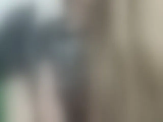 Live sex webcam photo for pevicha #293714209