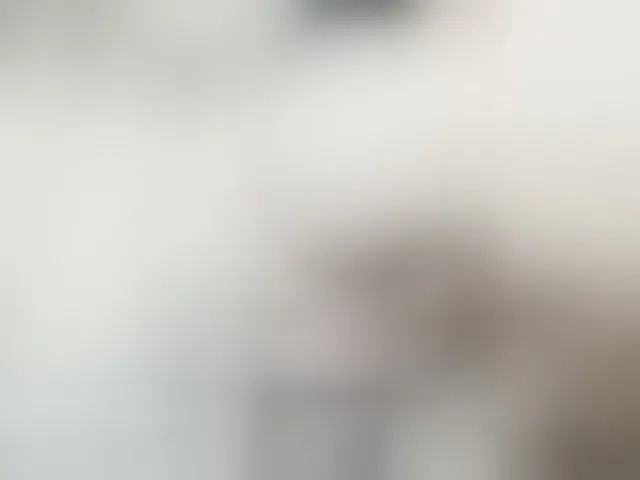 Live sex webcam photo for pevicha #293986514