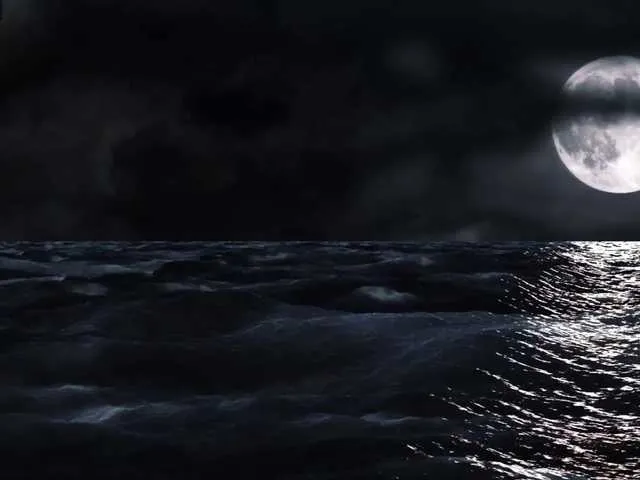 Live sex webcam photo for pink2019 #272542982