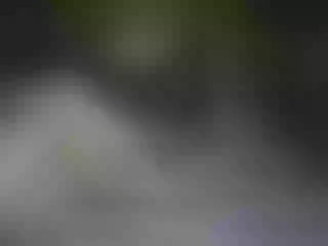 Live sex webcam photo for pinkrackz #272436612