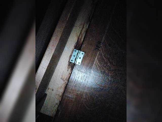 Live sex webcam photo for play-Bear #276241404