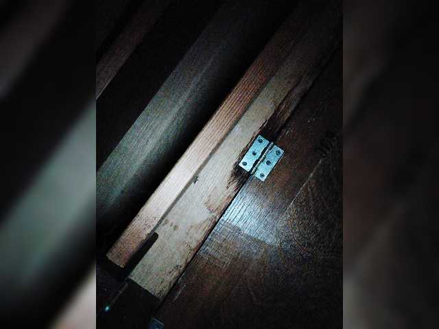 Live sex webcam photo for play-Bear #276385582