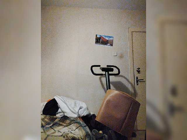 Live sex webcam photo for play-Bear #276663995