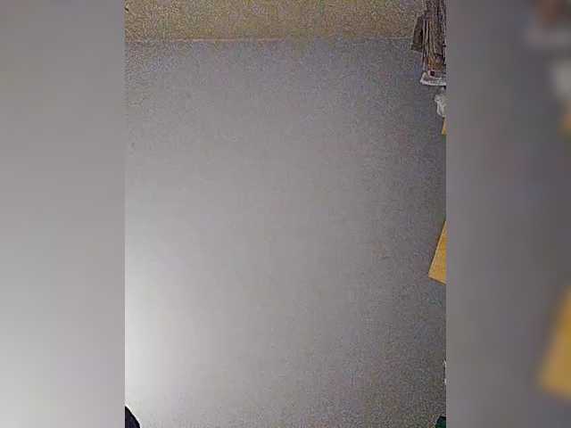 Live sex webcam photo for play-Bear #290188065