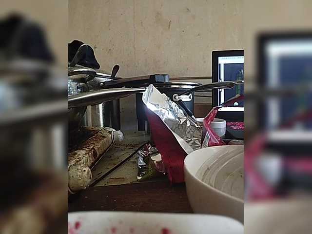 Live sex webcam photo for play-Bear #291797437