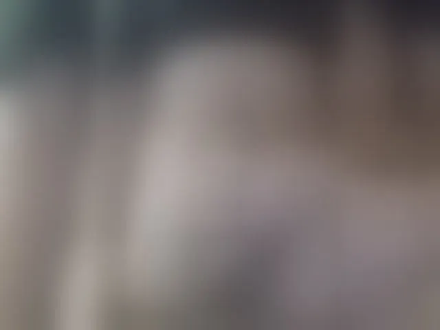 Live sex webcam photo for play-Bear #293545744