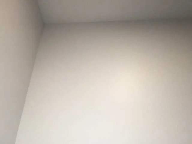 Live sex webcam photo for playbunnyxo #271850254