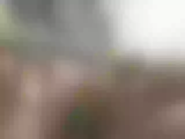 Live sex webcam photo for polo-ro1994 #276425140