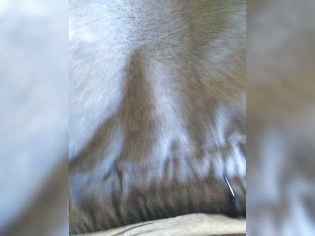 Live sex webcam photo for pornushnik88 #273940313