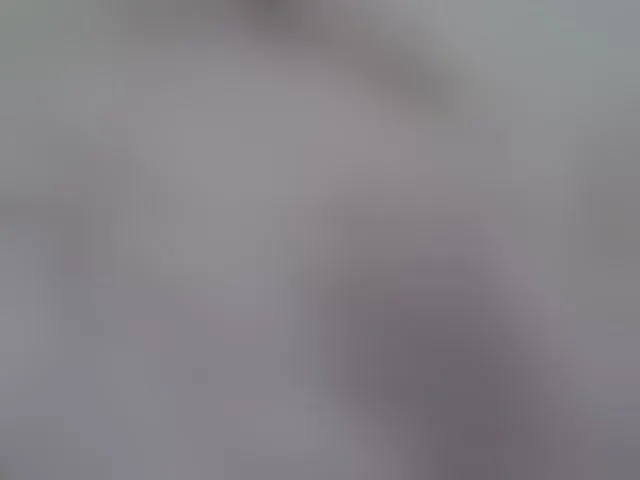 Live sex webcam photo for pretty-lioness #292400984