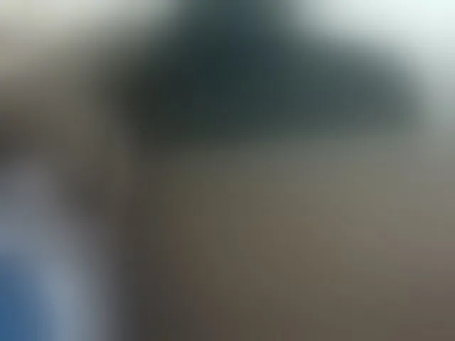 Live sex webcam photo for pretty-lioness #292810901