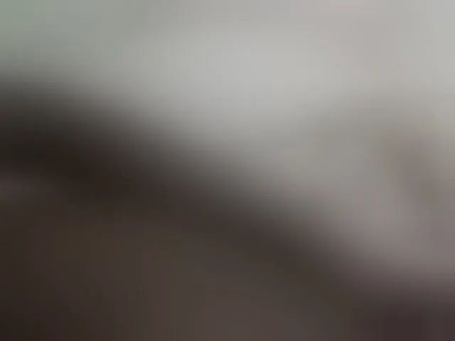 Live sex webcam photo for pretty-lioness #293003278