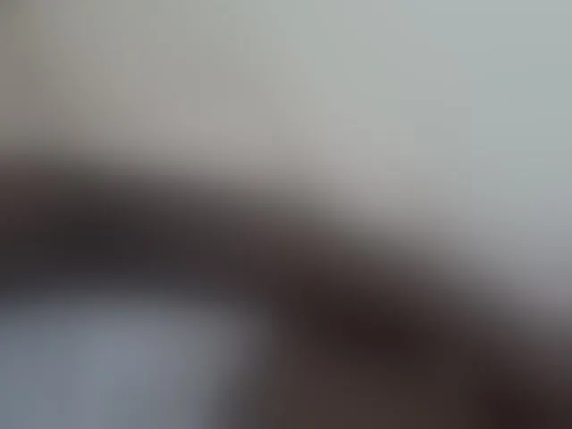 Live sex webcam photo for pretty-lioness #293043905