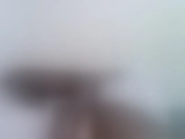 Live sex webcam photo for pretty-lioness #293107977