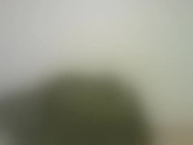 Live sex webcam photo for pretty-lioness #293165919