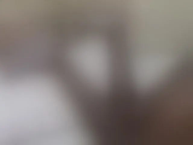 Live sex webcam photo for pretty-lioness #293708133