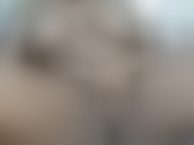 Live sex webcam photo for pretty-lioness #294029822