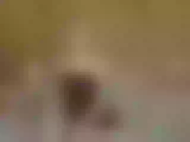 Live sex webcam photo for prettyKris #292038417