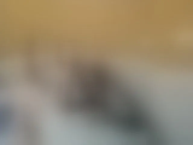 Live sex webcam photo for prettyKris #293709220