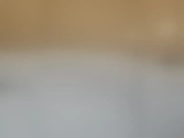 Live sex webcam photo for prettyKris #294306882